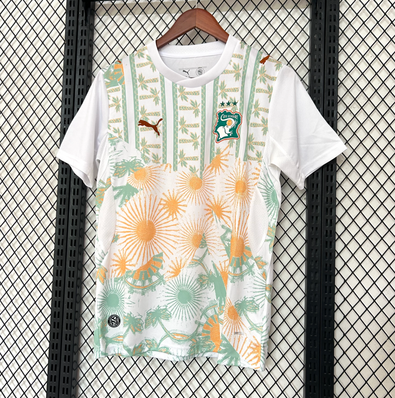 Ivory Coast 2026 World Cup  away Jersey